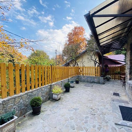 Apartment Carol Private Yard With Barbeque And Parking Синая Екстериор снимка