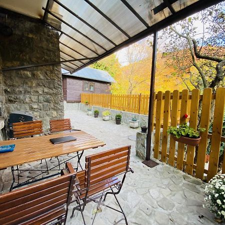 Apartment Carol Private Yard With Barbeque And Parking Синая Екстериор снимка