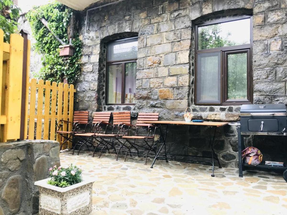Apartment Carol Private Yard With Barbeque And Parking Синая Екстериор снимка