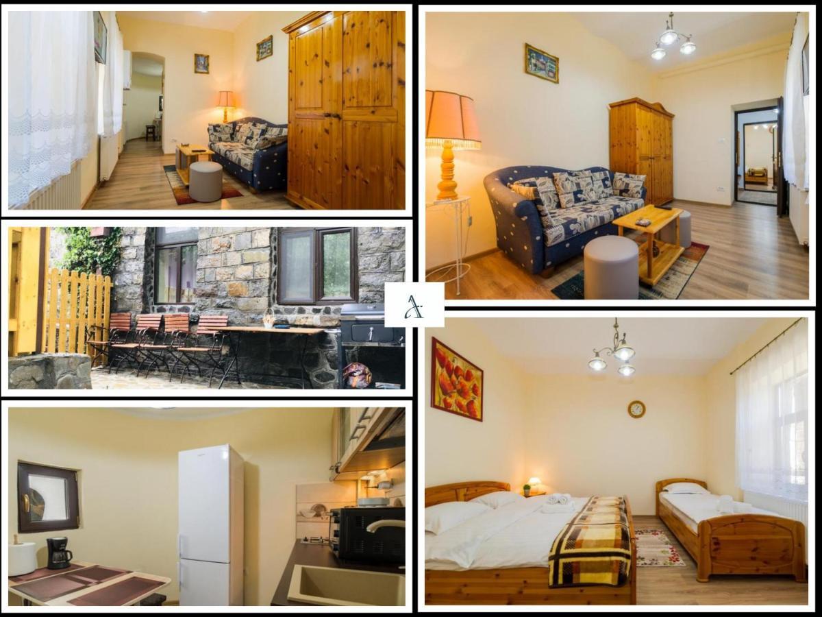 Apartment Carol Private Yard With Barbeque And Parking Синая Екстериор снимка
