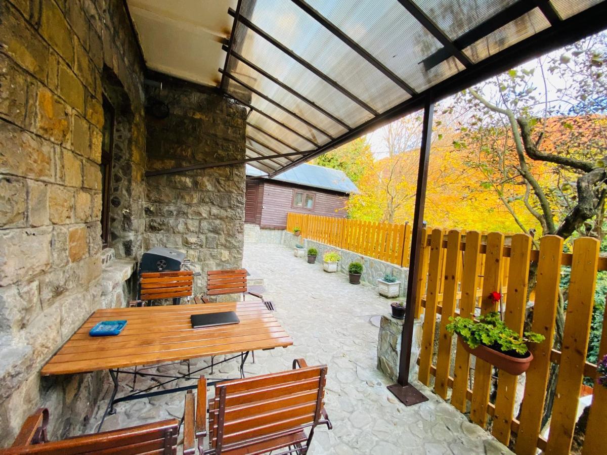 Apartment Carol Private Yard With Barbeque And Parking Синая Екстериор снимка