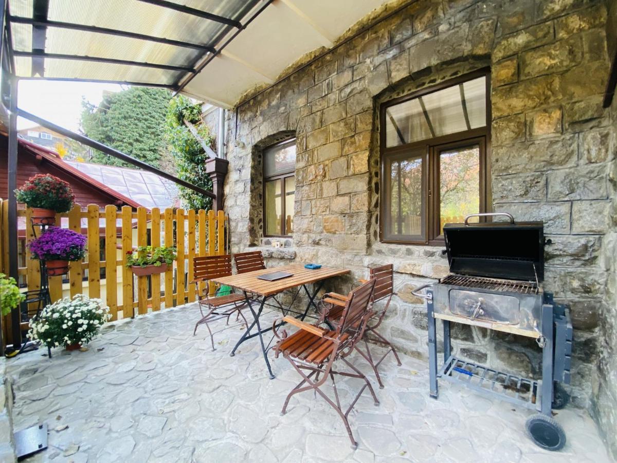 Apartment Carol Private Yard With Barbeque And Parking Синая Екстериор снимка