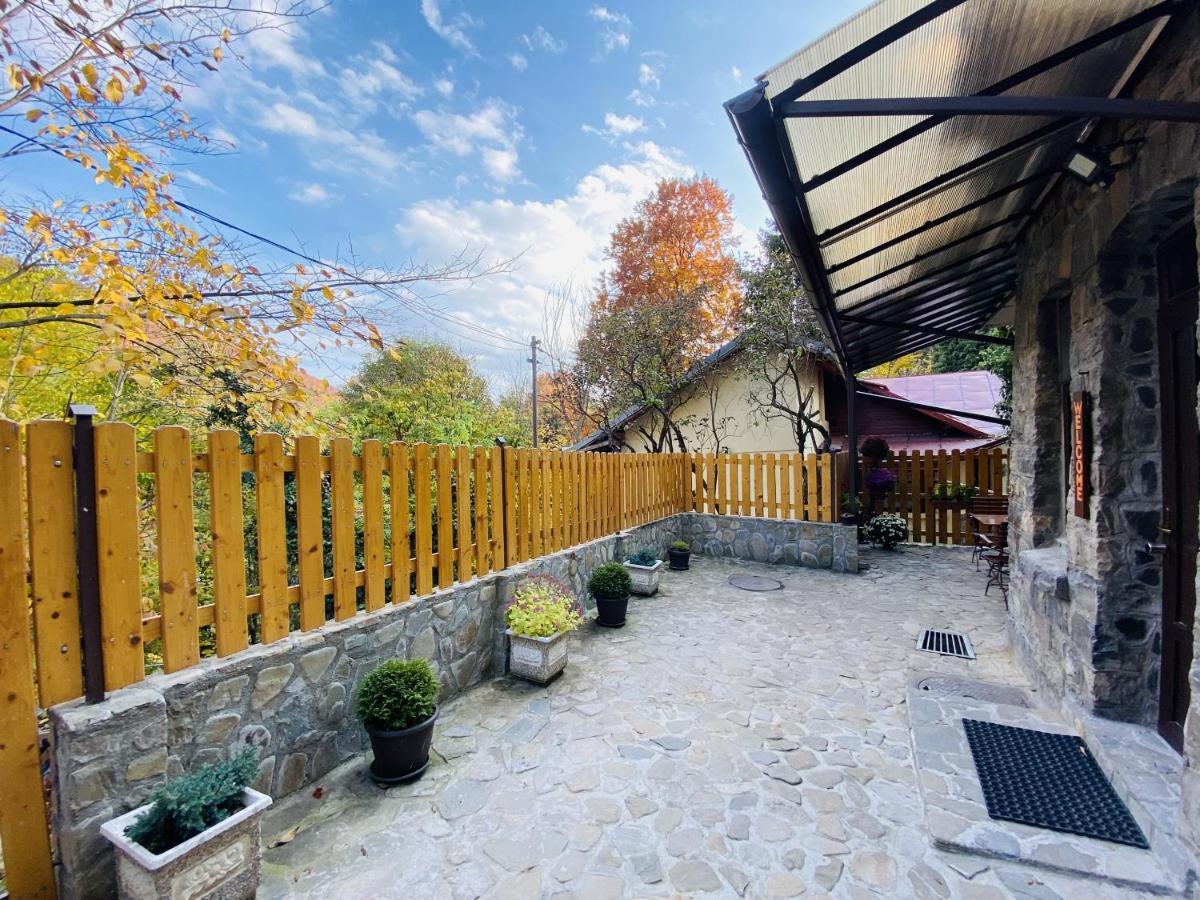 Apartment Carol Private Yard With Barbeque And Parking Синая Екстериор снимка