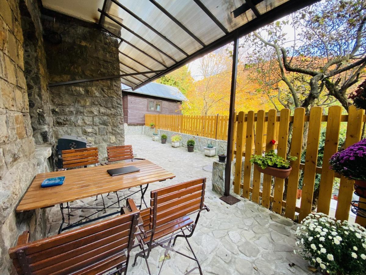 Apartment Carol Private Yard With Barbeque And Parking Синая Екстериор снимка