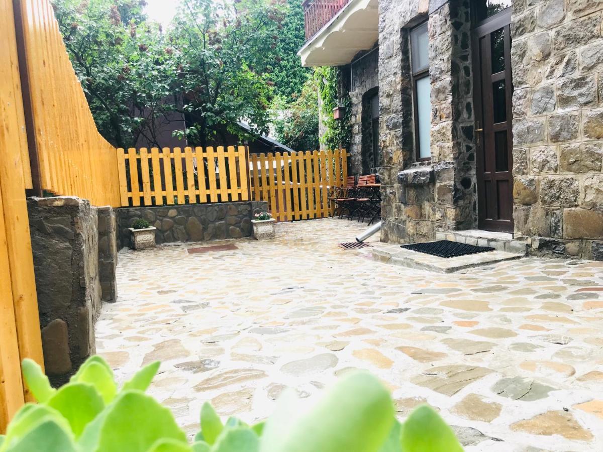 Apartment Carol Private Yard With Barbeque And Parking Синая Екстериор снимка