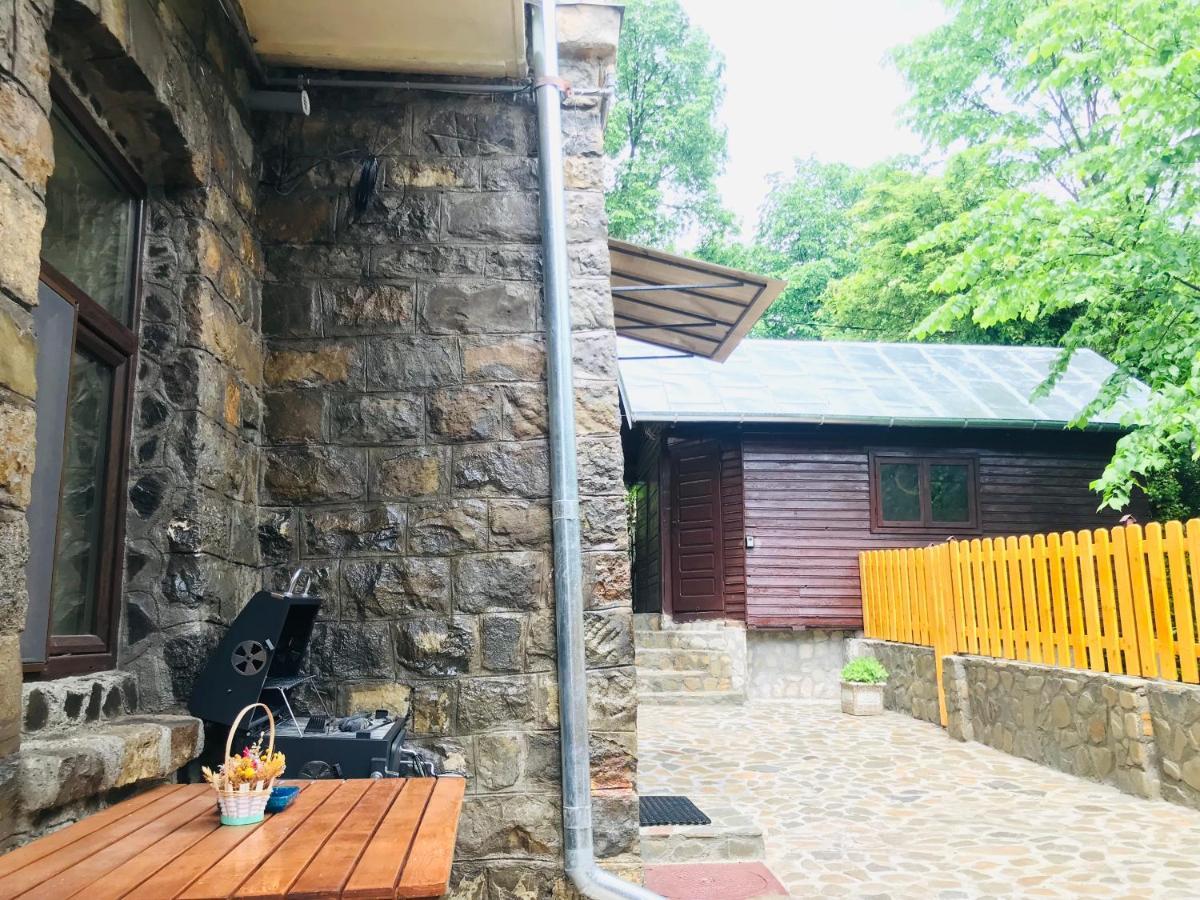 Apartment Carol Private Yard With Barbeque And Parking Синая Екстериор снимка
